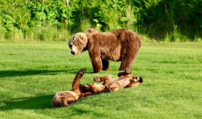 Alaska Adventure Cabins, LLC 
Homer, Alaska LGBT Wedding Accommodations


