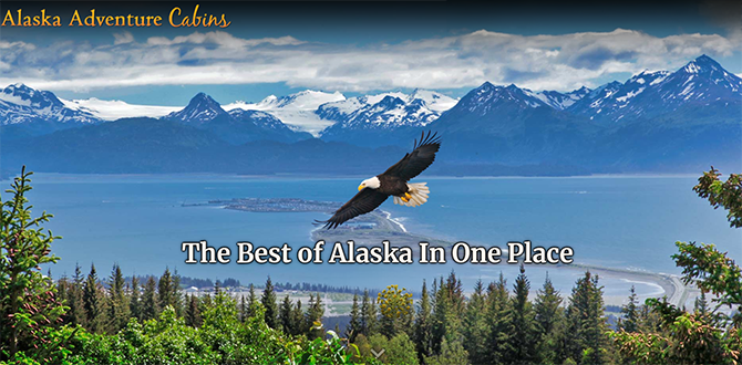 Alaska Adventure Cabins, LLC 
Homer, Alaska LGBT Wedding Accommodations


