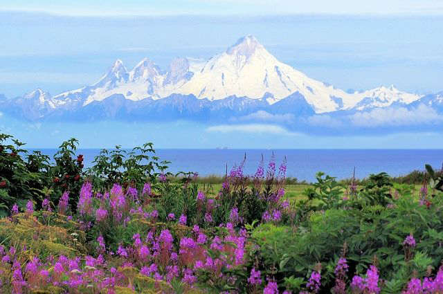 Alaska Adventure Cabins, LLC 
Homer, Alaska LGBT Wedding Accommodations


