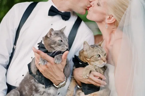 Bespoke Ceremonies 
Napa, California LGBT Marriage Officiant- Peggy Usak
