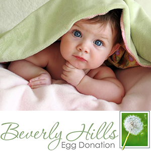 Beverly Hills, CA LGBTQ Friendly Egg Donation