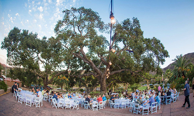 Vineyard Hacienda Inc 
San Diego, California LGBT Wedding Venue & Wedding Planning Packages

