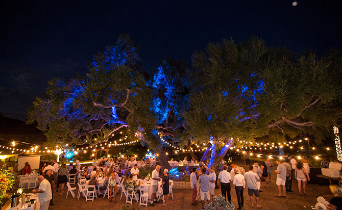 Vineyard Hacienda Inc 
San Diego, California LGBT Wedding Venue & Wedding Planning Packages

