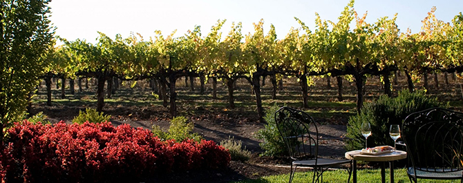 Sonoma Garden Santa Rosa CA - Vintners Resort