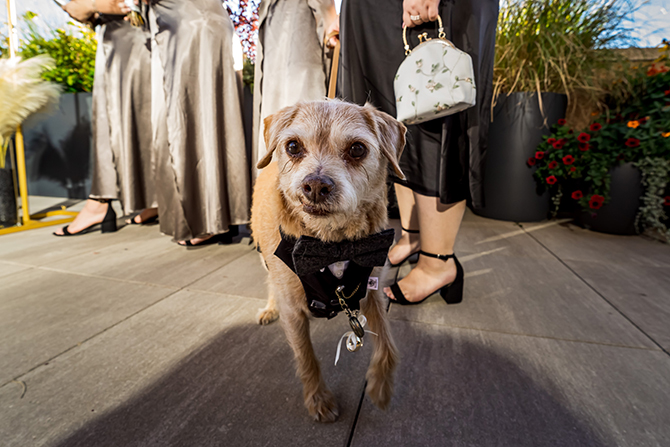 Bonnie Photo 
Denver - Boulder, Colorado LGBT Wedding Photographer
