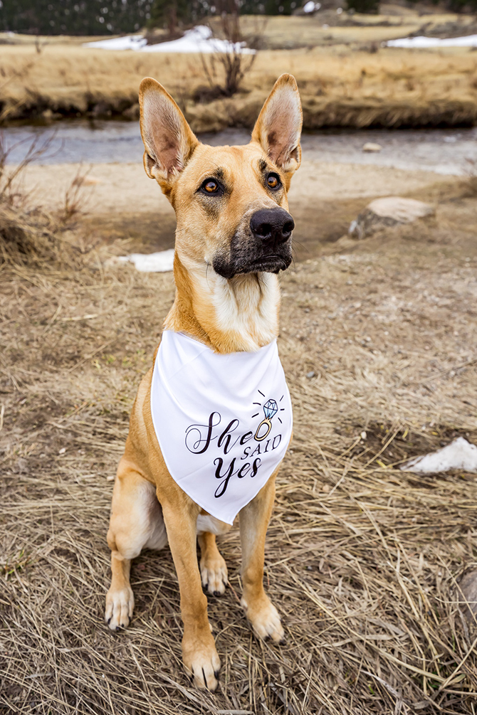 Bonnie Photo 
Denver - Boulder, Colorado LGBT Wedding Photographer
