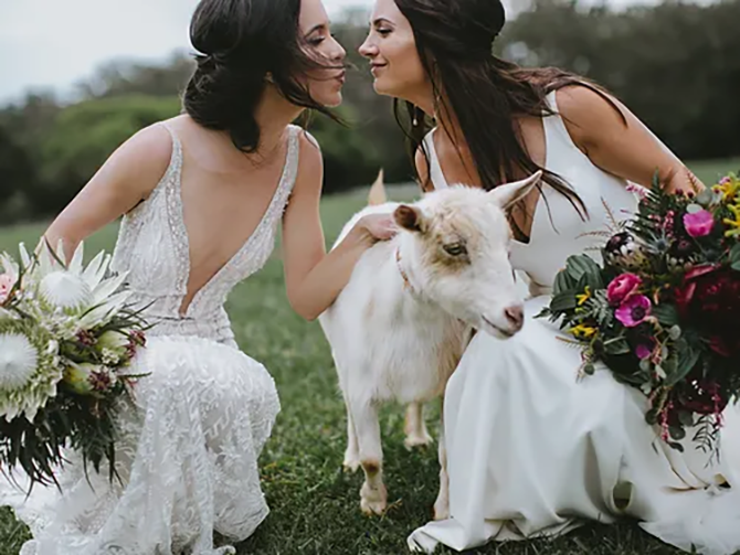 Jenna Lee Pictures 
Honolulu, Hawaii LGBT Wedding Photographer

