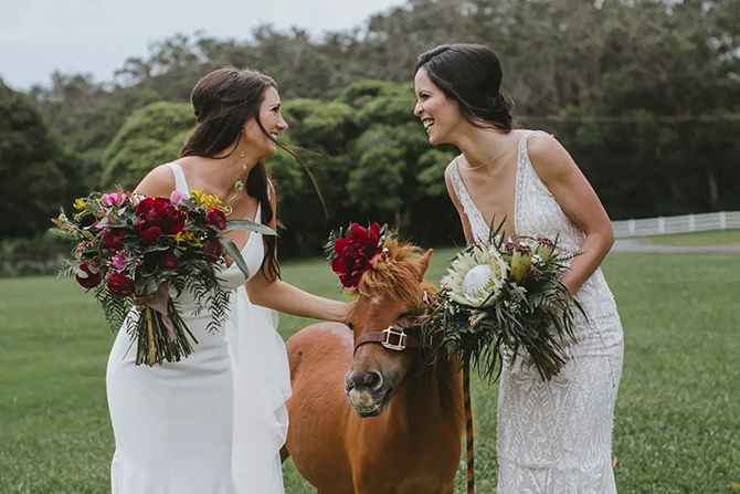 Jenna Lee Pictures 
Honolulu, Hawaii LGBT Wedding Photographer

