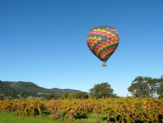 California Wine Country Wedding Packages Balloon Over Grape Field