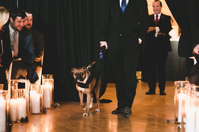 Best man walking dog down aisle - Alice Soloway Weddings - Brooklyn, New York City