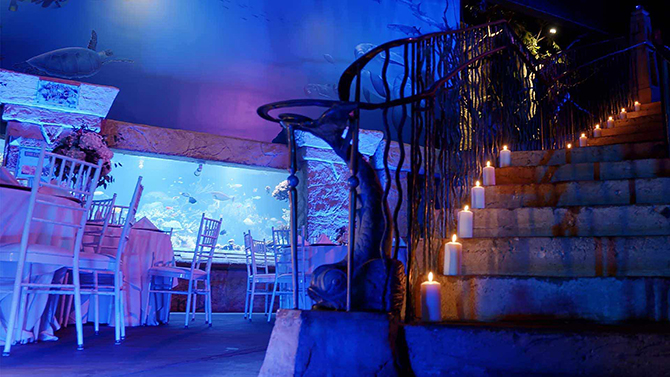 Aquarium Wedding - Atlantis Banquets and Events - Long Island, New York LGBT Wedding Receptions