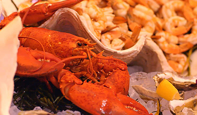 LObster Fest - Atlantis Banquets and Events - Long Island, New York LGBT Wedding Receptions