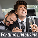 Montgomery County, PA LGBT Wedding Limousine Servic